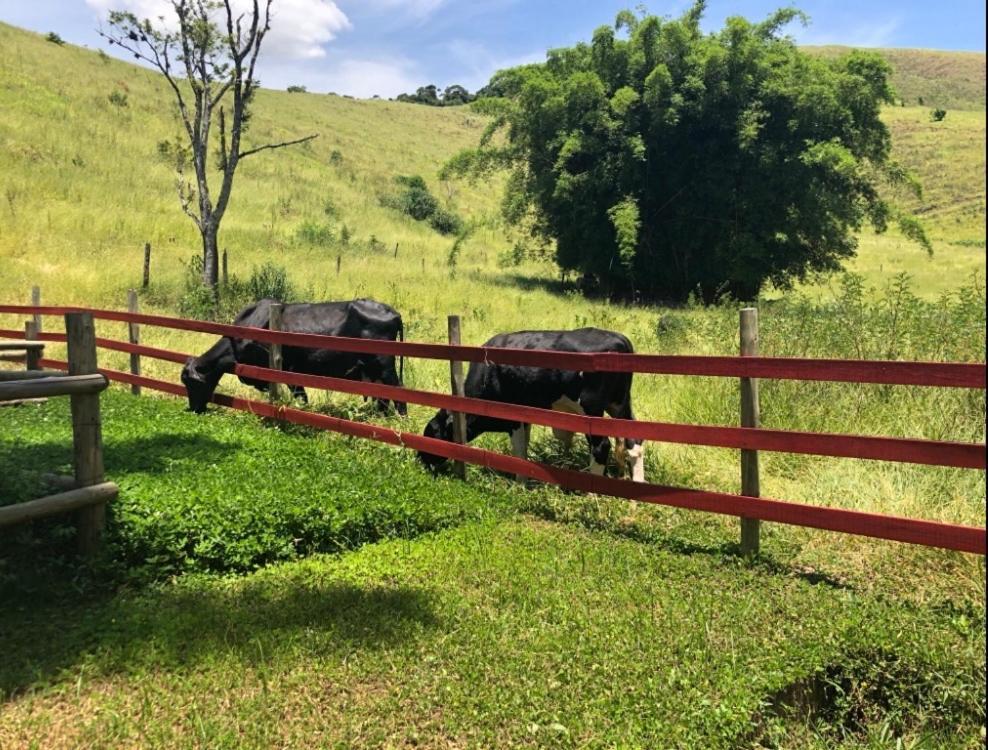Vivenda Dos Guaranys -Um Projeto Ecologico - Casa Villa Conservatória Exteriör bild
