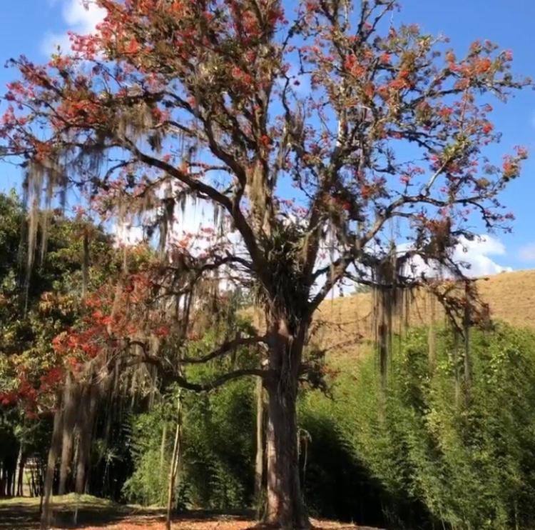 Vivenda Dos Guaranys -Um Projeto Ecologico - Casa Villa Conservatória Exteriör bild