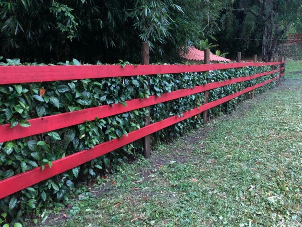 Vivenda Dos Guaranys -Um Projeto Ecologico - Casa Villa Conservatória Exteriör bild