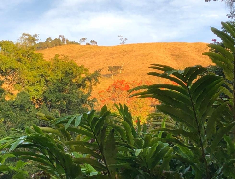 Vivenda Dos Guaranys -Um Projeto Ecologico - Casa Villa Conservatória Exteriör bild